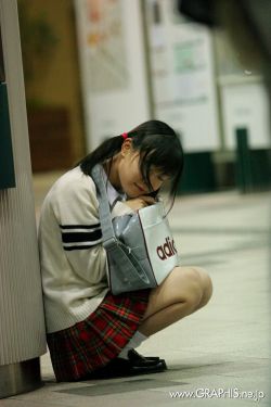 中国国徽图片