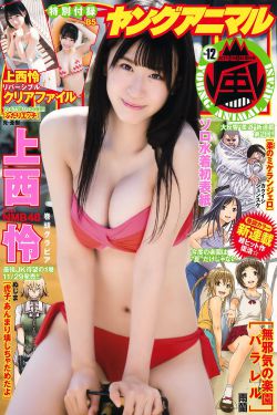 电视剧新儿女英雄传