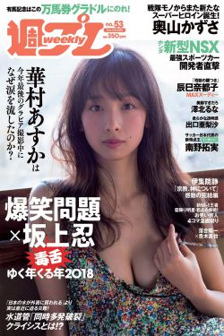 南方电视台真实故事